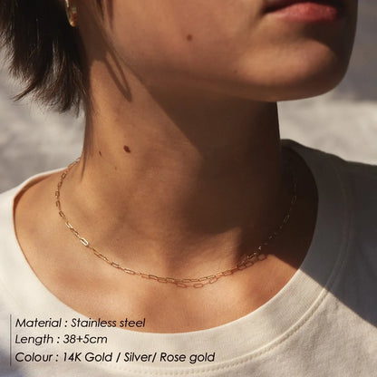 LUZWA 316L Gold Stainless Steel Chain Choker Necklace